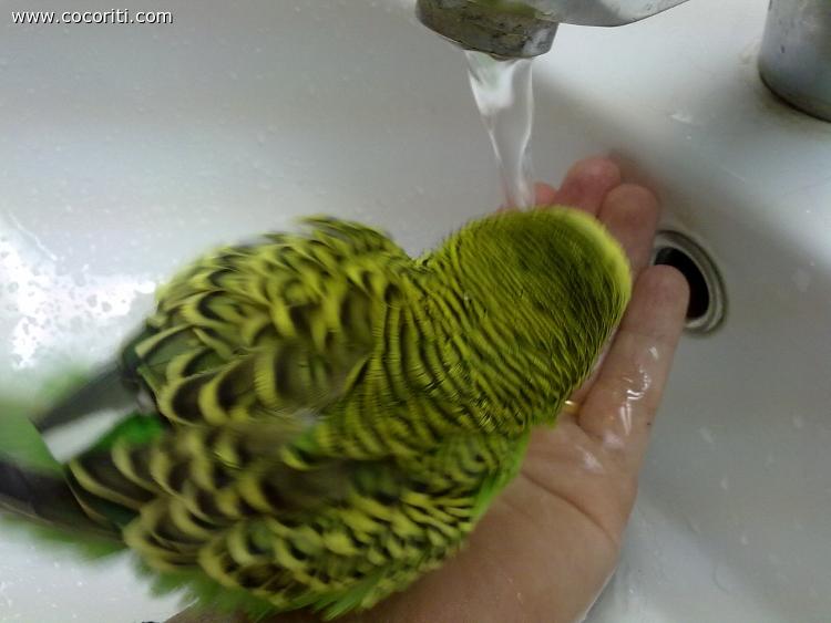 w l'acqua !!